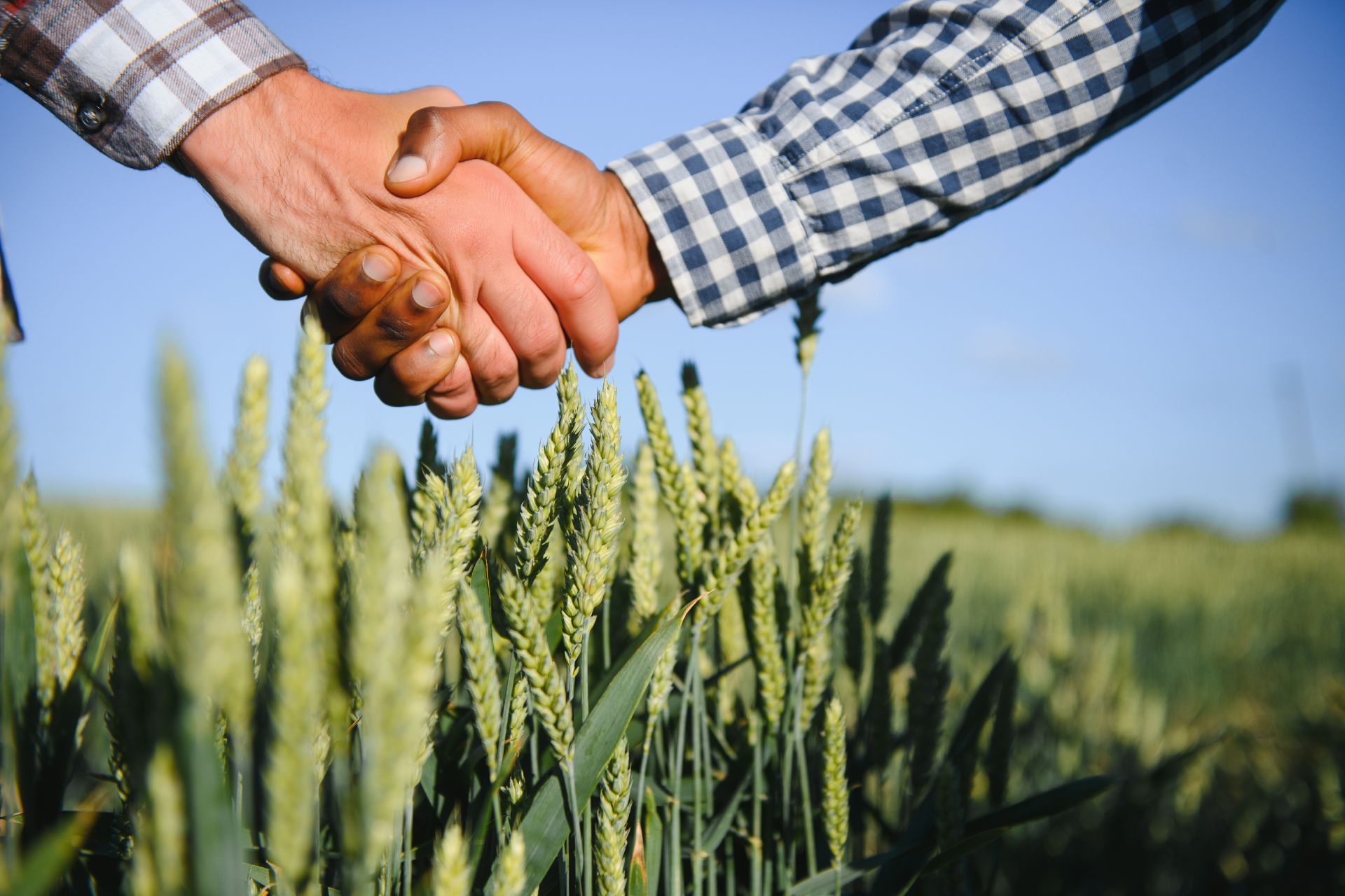 compra de insumos do agronegócio