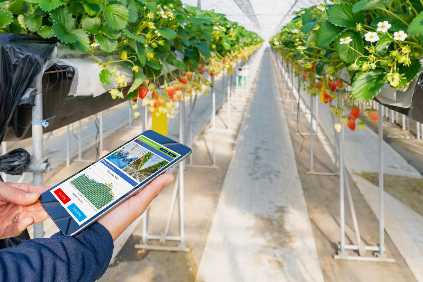 tecnologia no agro