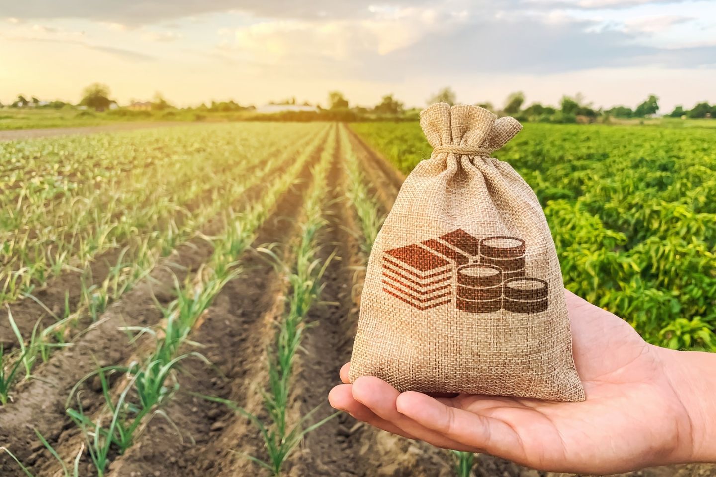 comprar insumos do agro